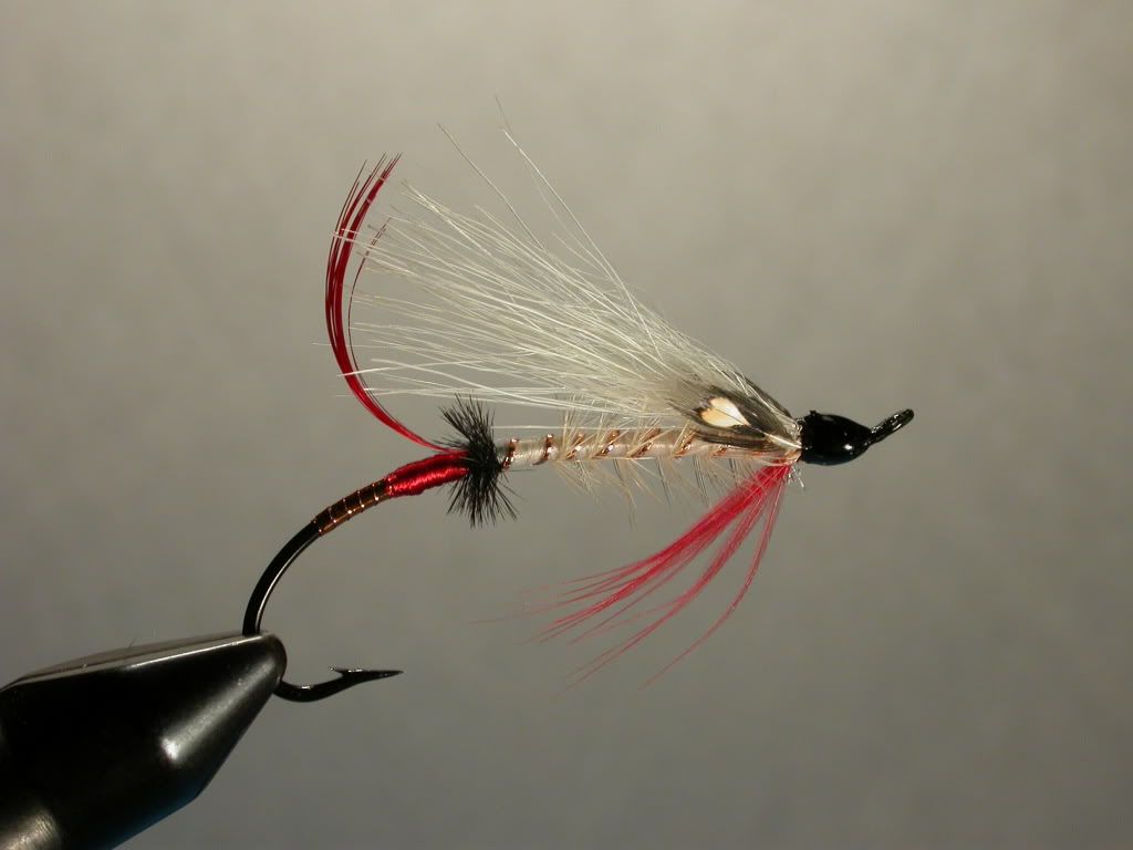 Alaska Mary Ann Fly Tying Maine Fly Fish